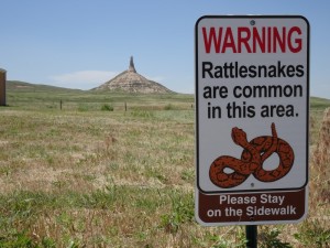 Warning Rattlesnakes !